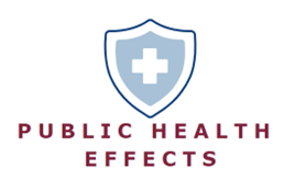Image of a shield with a cross in the middle of the shield with the words "Public Health Effects" below